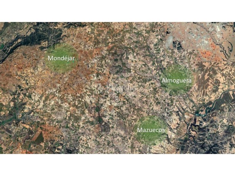 Foto 6570a367-c444-4b24-8abb-0330db6d7203. Finca rústica a Mondéjar