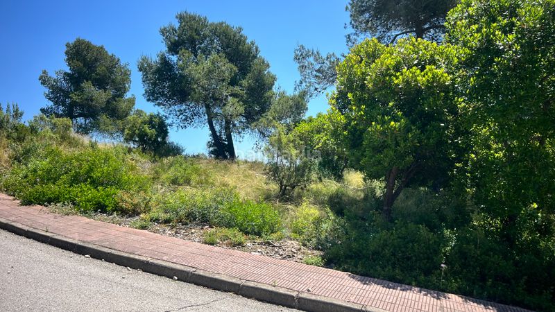 Foto 6d8036bb-7af9-4d34-a0f5-bdaaef11c491. Terreny residencial a carrer riu freser 24 a Vallirana