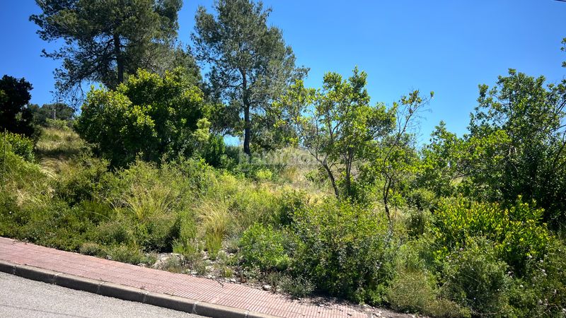 Foto ccbc1560-a840-4b5f-bbff-eea637763aad. Terreny residencial a carrer riu freser 24 a Vallirana