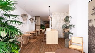 Local Comercial a Carrer de Catalunya