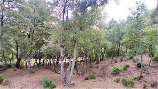 Solar urbano en Matadepera. Terreno de 2.299m² en venta en les pedritxes, matadepera