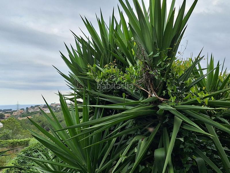 Foto f31c75d6-2954-44c6-9f21-68a28b0607dc. Terrain résidentiel dans Segur de dalt Segur de Calafell