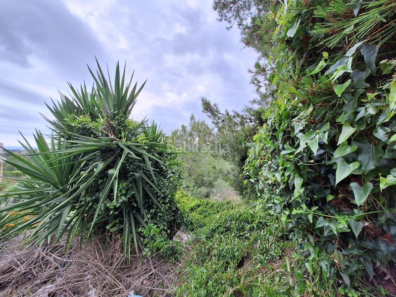 Foto fde0a744-b295-4661-8753-99642e1a2e03. Terrain résidentiel dans Segur de dalt Segur de Calafell