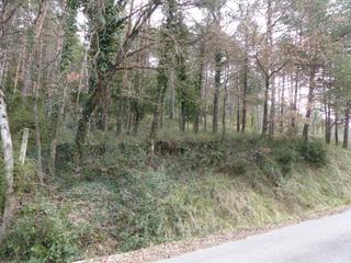 Residential Plot  Tavernoles. Solar en venta