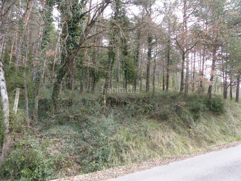 Foto e1435c6b-a91b-4b4a-8709-a6a4c33c8aca. Finca rústica a Tavèrnoles