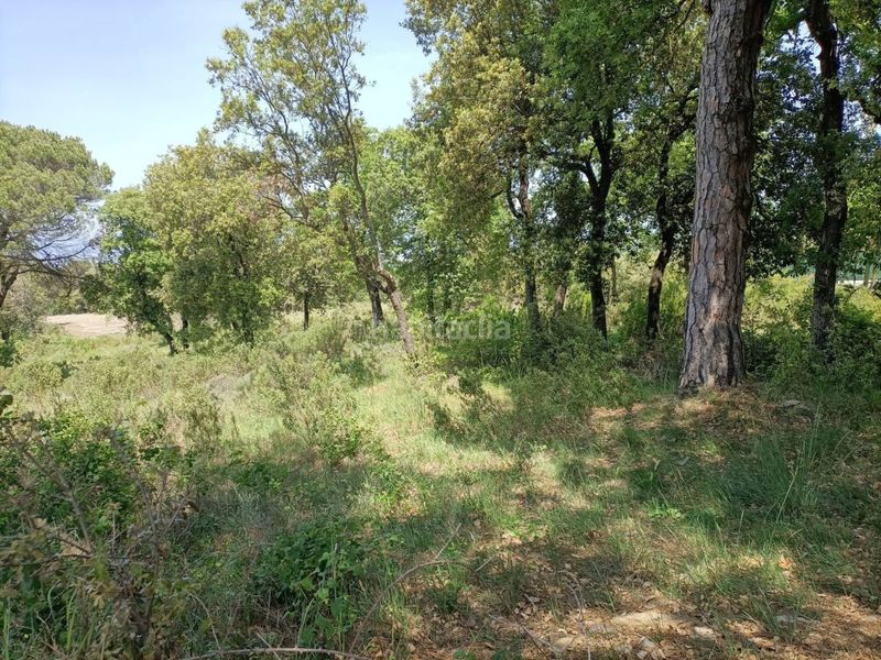 Foto 2666871f-7d93-4b9b-893f-1e003f903869. Terreny residencial a Seva