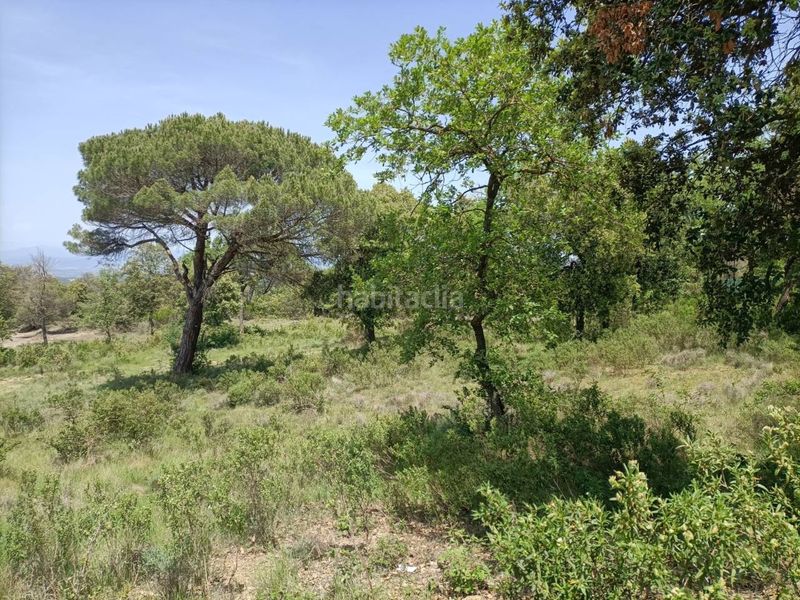 Foto 4a660dc4-a245-4efa-a959-a760dc00f7be. Terreny residencial a Seva