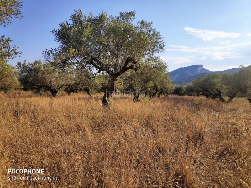 Foto 53dfca07-4487-4b4e-9d7e-d1520572ef60. Landgut in Roquetes