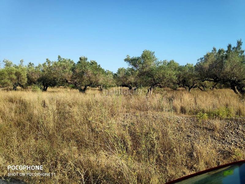 Foto f1cfd717-33d5-4b08-a182-adb83b7f3e7a. Landgut in Roquetes