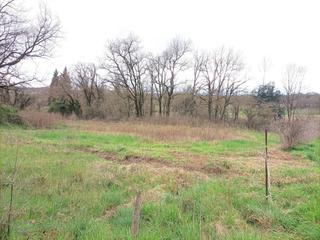 Rural plot in Santa Maria de Corcó. Terreno urbanizable en venta