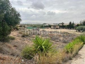 Foto 61ad11c5-1b2a-4368-9d71-e1674c173a79. Masia a Sangonera la Seca Murcia