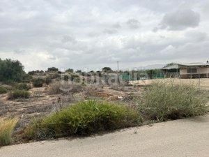 Foto b51a327f-742f-42c8-96bb-858d1eb3de5d. Masia a Sangonera la Seca Murcia