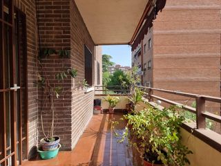 Flat  Calle de anoeta. Calle anoeta