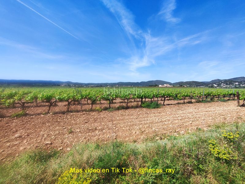 Foto 0af28277-b676-437e-9683-71db87810b0c. Terreno residencial terreno con edificaciones en Torrelles de Foix
