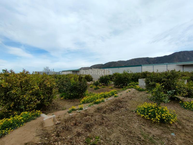 Foto 6c18de03-ba6b-4b81-8f84-bf1260b80369. Solar industrial a Torreagüera Murcia