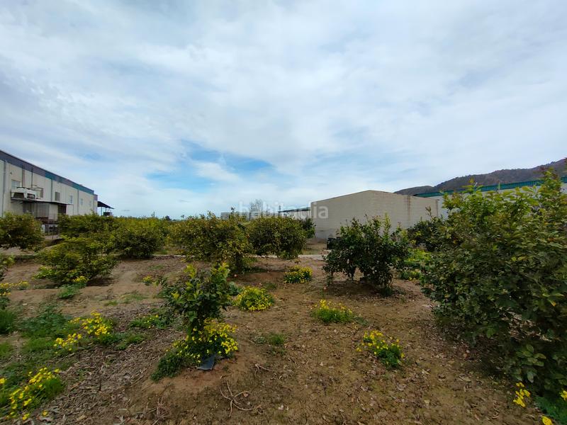 Foto 7dd6d9e1-b0e3-4364-b4e2-7b699780e8f6. Solar industrial a Torreagüera Murcia