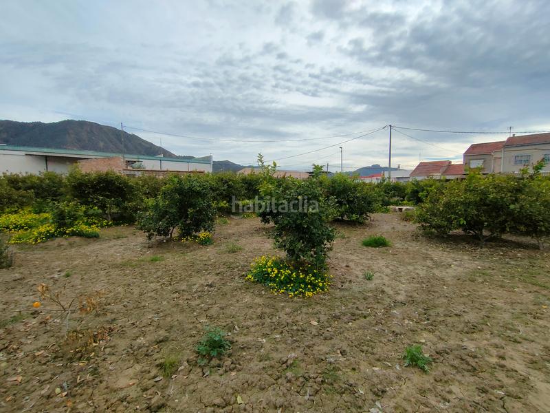 Foto 94dd7e8a-58d1-485e-a935-0a3569042476. Solar industrial a Torreagüera Murcia