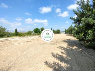 Lloguer Finca rústica a Sangonera la Seca. Terreno rústico en alquiler