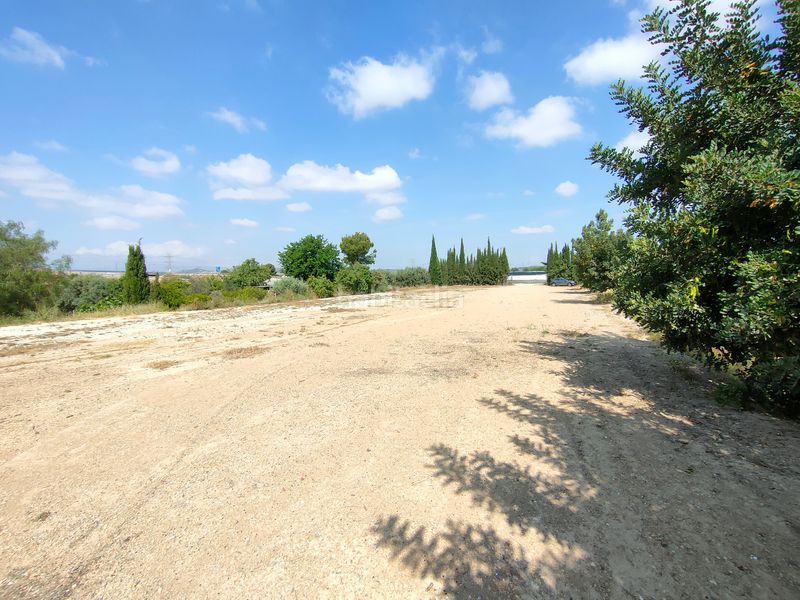 Foto b4a69738-5fb5-484f-8326-b6fe3e1cbb92. Lloguer finca rústica a Sangonera la Seca Murcia