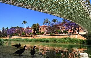 Pis a San Antón
