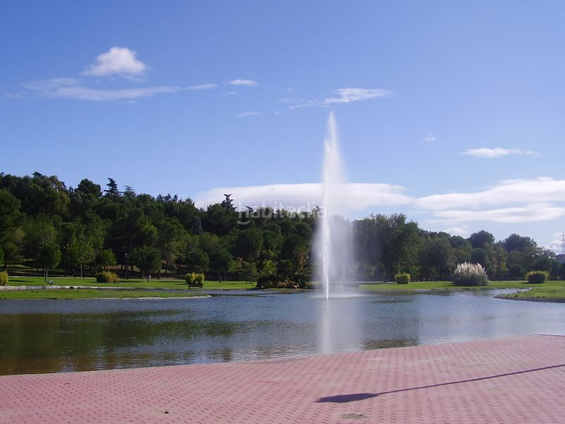 Foto a76058e5-ebac-44c7-855f-6c2f41db5706. Pis a Abrantes Madrid