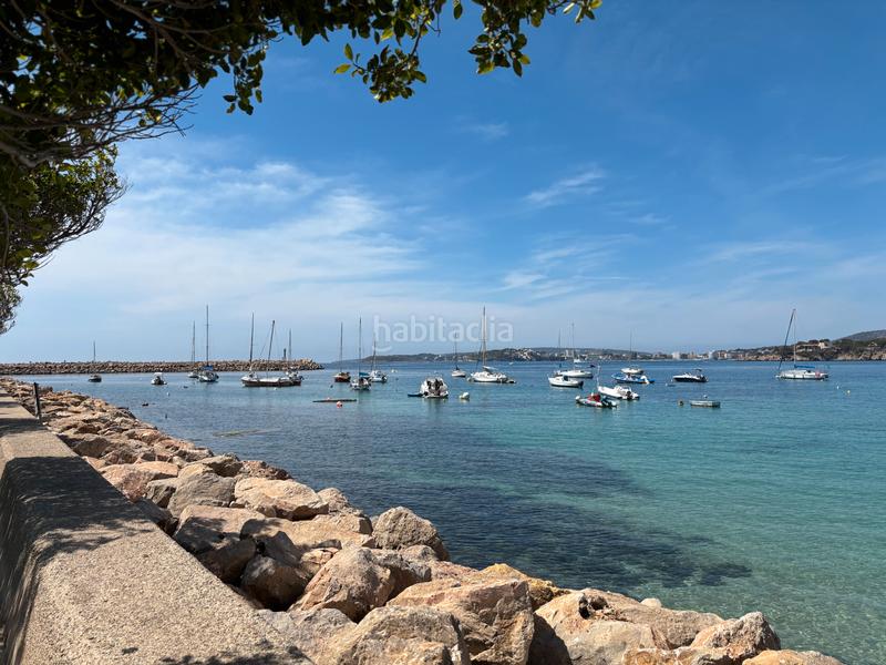 Foto 417c069a-601d-4aa4-aa82-b56204d46e79. Appartement dans carrer benito jerónimo feijóo 1 dans Calvià