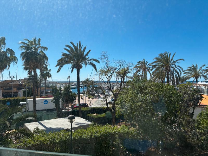Foto 5ff9bd2d-3bea-4cec-986c-615f3bbd3b6d. Appartement dans carrer benito jerónimo feijóo 1 dans Calvià
