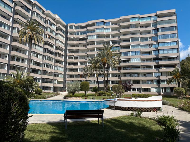 Foto ae9322e6-3141-4c2f-a667-4cd373361b68. Appartement dans carrer benito jerónimo feijóo 1 dans Calvià