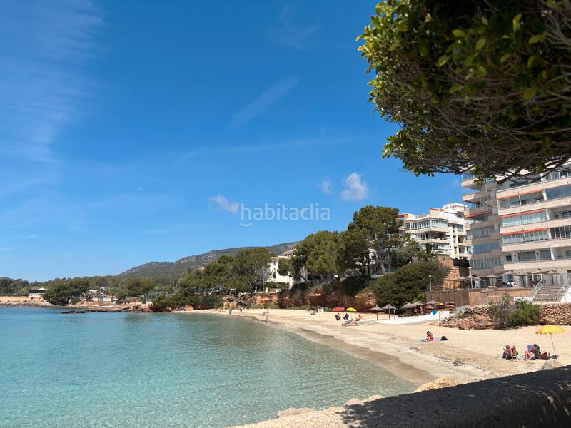 Foto db736174-6678-4e48-a2d2-b0c568a21817. Appartement dans carrer benito jerónimo feijóo 1 dans Calvià