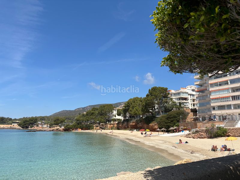 Foto db736174-6678-4e48-a2d2-b0c568a21817. Pis amb calefacció aparcament piscina a Portals Nous Calvià
