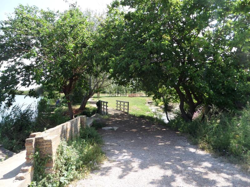 Foto 347de132-5fdd-4b9c-aac4-d54e9769b582. Locale commerciale in Almenara