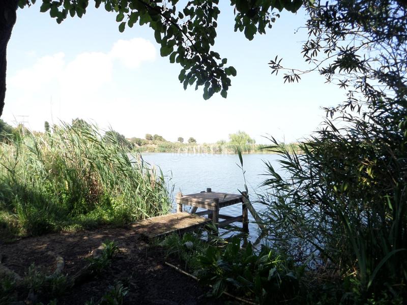 Foto a45fe7ea-b620-4b5f-8dd3-86fcec8731e5. Locale commerciale in Almenara