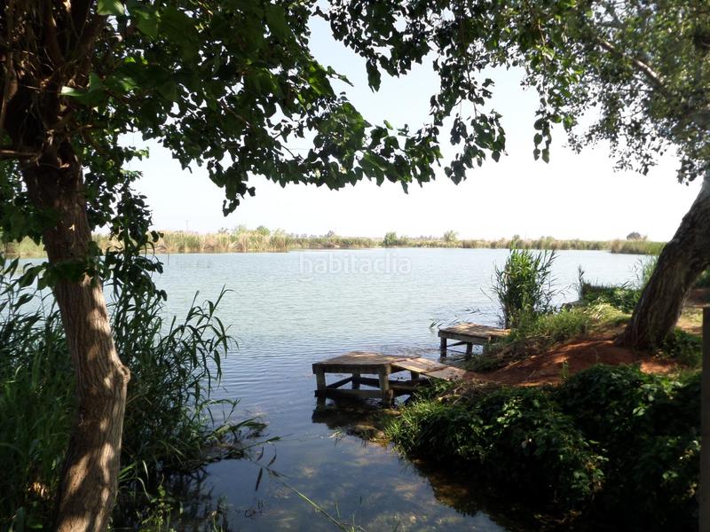 Foto dc0aba11-d3fb-49e5-999e-2a9672e0b6bb. Locale commerciale in Almenara