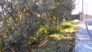Terreno residencial en Carrer del canigó 431. Terreno edificable Terreno residencial en Carrer del canigó 431. Terreno edificable