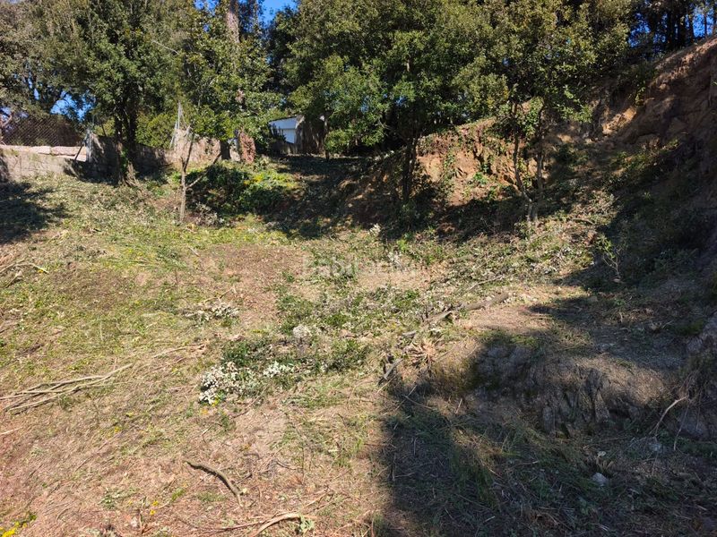 Foto 4261692f-ee02-43c9-96d3-5edca60b40f5. Terreno residencial parcela edificable en Ametlla del Vallès (L´)