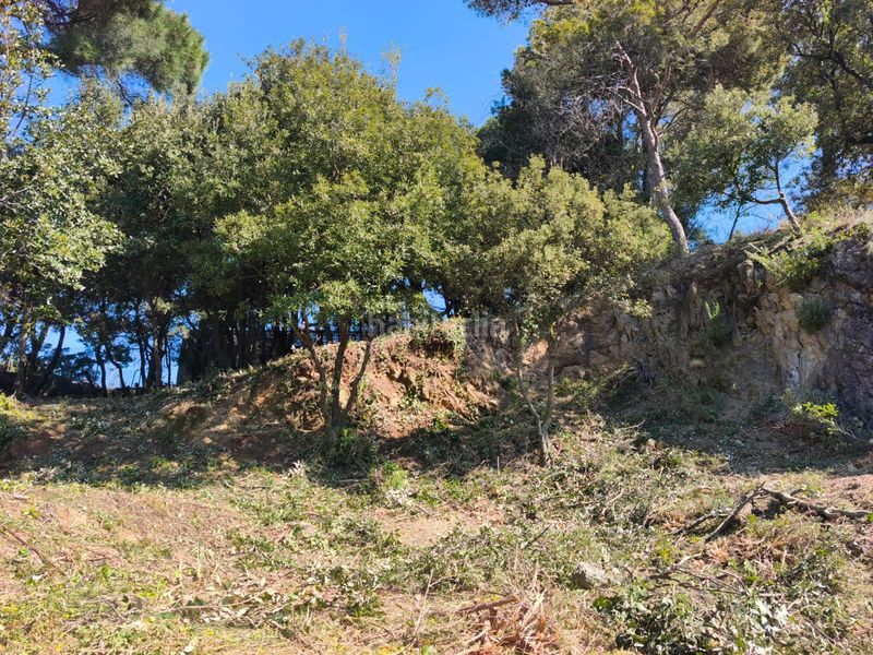 Foto bc546472-f229-413c-8778-922e14972274. Terreno residencial parcela edificable en Ametlla del Vallès (L´)