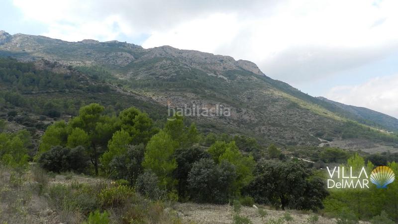 Foto b6fb3074-f61f-4eae-819d-44f7fd3bcace. Finca rústica a Xaló