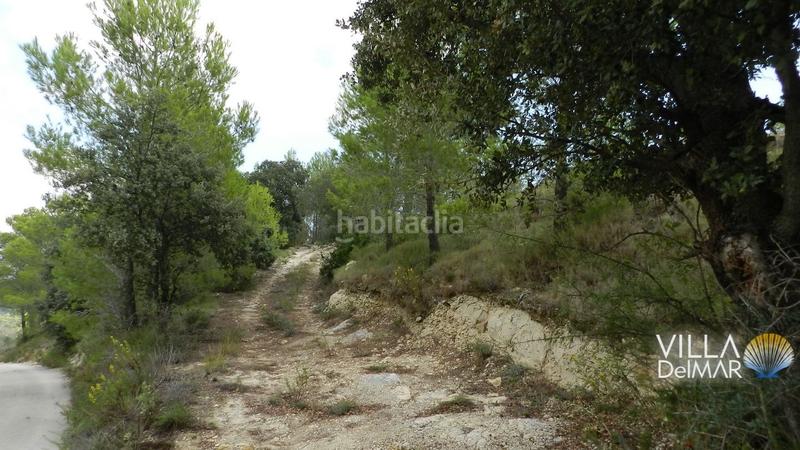 Foto f5999aa0-fc1c-4d8e-be14-7c550c896bcb. Finca rústica a Xaló