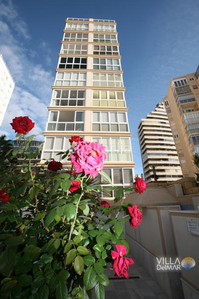 Foto 69438970-fcb5-46de-a253-e9e65dd09b25. Piccolo appartamento in calle alemania 5 in Playa Arenal - Bol Calp