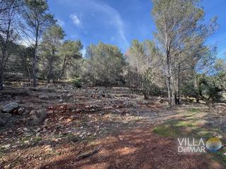 Finca rústica a Cv-749 5. Jalon/xaló – ¡parcela cerca del pueblo y de todos los servicios!