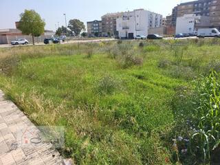Terreny residencial  Artal de foces. Alcàsserterreno