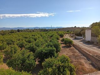 Terreny residencial a Pedralba. Llíriaterreno