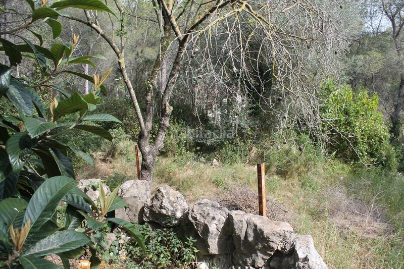 Foto 4d830bea-b3cb-4b6f-98b6-09196a4d7463. Terreno residencial ¡construye tu hogar! en Canyelles