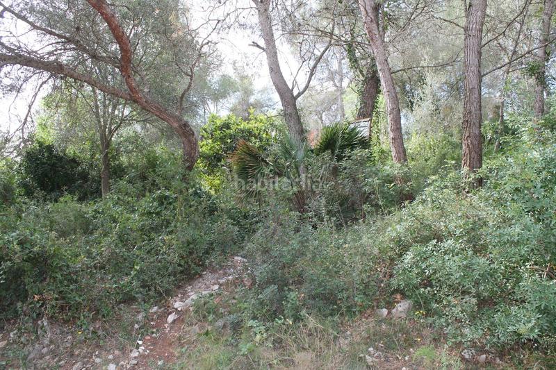 Foto 605d75d6-1f59-4902-bbd7-3a1aa7ade463. Terreno residencial ¡construye tu hogar! en Canyelles