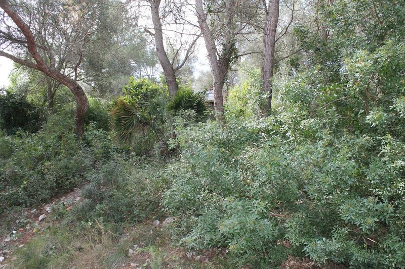 Foto f86baac4-f4d4-4928-8199-57dfb009948e. Terreno residencial ¡construye tu hogar! en Canyelles