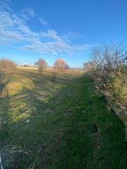 Miete Landgut in Cabanillas del Campo. Grupo gestión guadalajara  alquila parcela de uso agrario en cab