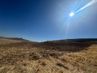 Finca rstica en Santos de la Humosa (Los). Gestin guadalajara vende terreno rstico en los santos de la hu