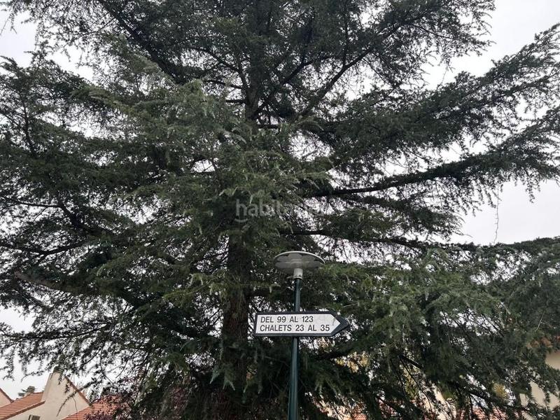 Foto 9ddbcc9a-5183-4a5f-b5b6-97b8c2b19dbc. Lloguer casa adossada amb calefacció aparcament piscina a La Moraleja