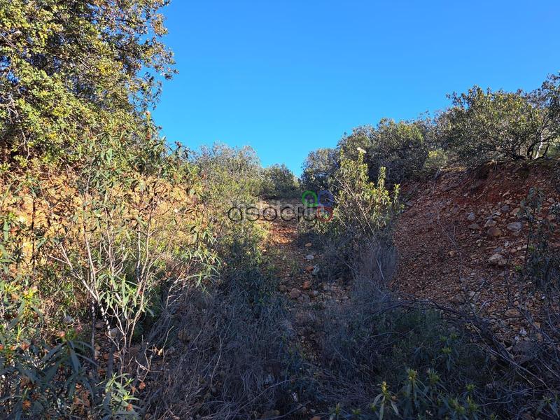 Foto 08698b1e-9192-4aed-9320-5721158fc306. Finca rústica gran parcela en venta en urb. sotolargo en Valdeaveruelo