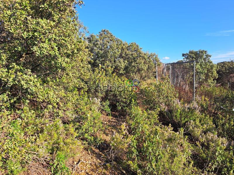 Foto 0925c06d-16bb-40d1-ad1b-d95ebd0a337d. Finca rústica gran parcela en venta en urb. sotolargo en Valdeaveruelo